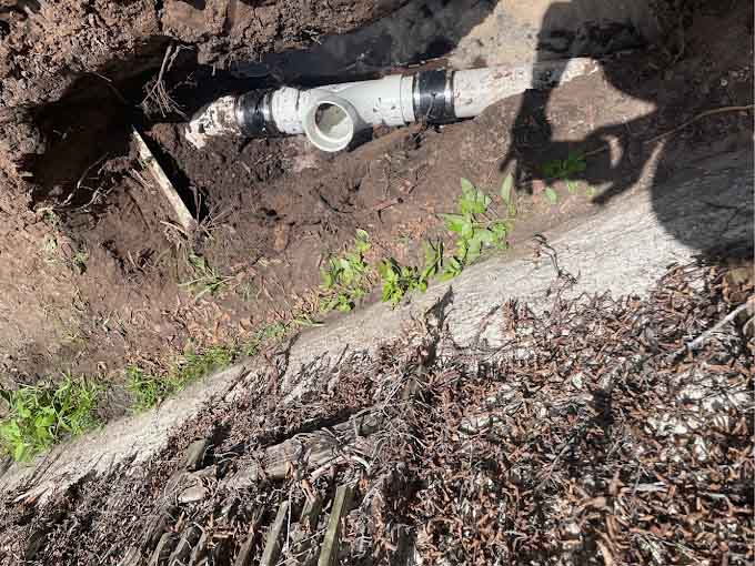 Damaged sewer line Tampa, FL